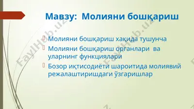 moliyani boshqarish — PPTX