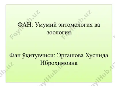 тут одимчаси (apocheima cinerarius) — PPTX