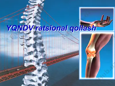 yqndv ratsional qollash — PPT