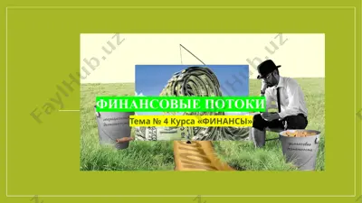 finansovye potoki — PPTX