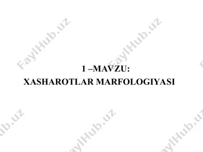 xasharotlar marfologiyasi — PPT