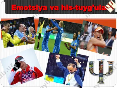 hissiyot va emotsiya — PPT