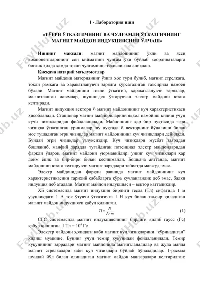 лаборатория иши — DOCX
