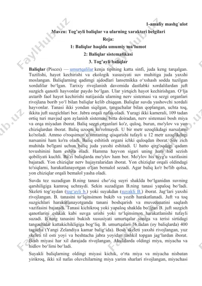 tog’ayli baliqlar va ularning xarakteri belgilari — DOCX