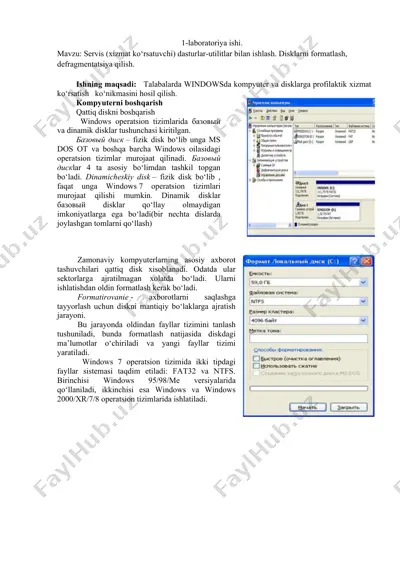 laboratoriya ishi: servis dasturlar-utilitlar bilan ishlash — DOCX