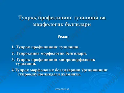 тупроқ профилининг тузилиши ва морфологик белгилари — PPT