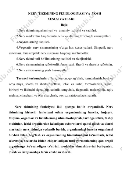 nerv tizimining fiziologiyasi va yosh xususiyatlari — DOCX