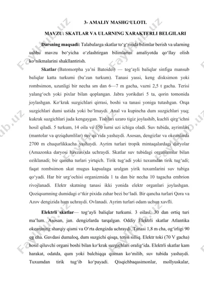 skatlar va ularning xarakterli belgilari — DOCX