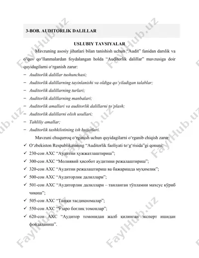 auditorlik dalillar — DOCX
