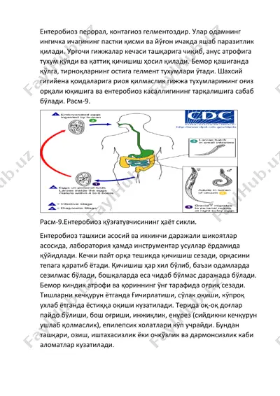 ентеробиоз — DOCX