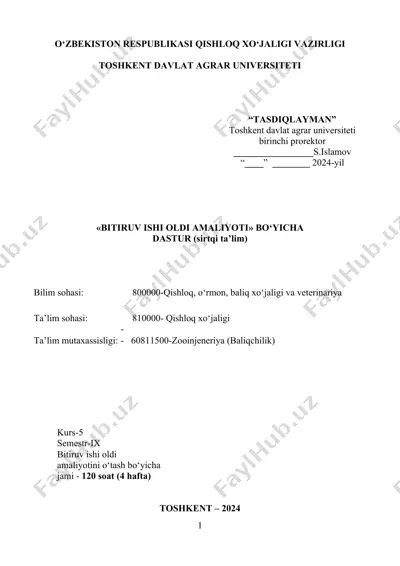 bitiruv ishi oldi amaliyoti dasturi — DOCX
