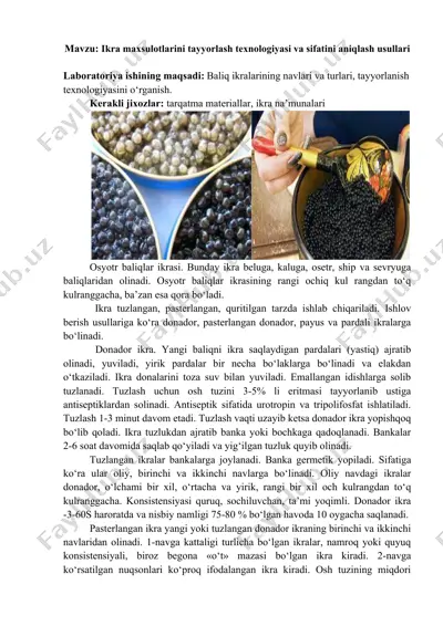 ikra maxsulotlarini tayyorlash texnologiyasi va sifatini aniqlash usullari — DOCX