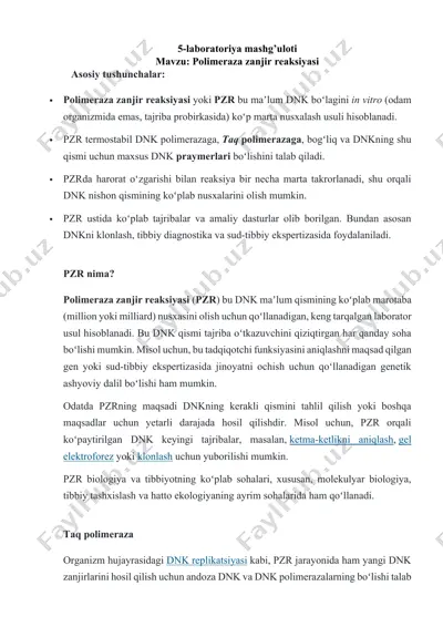 polimeraza zanjir reaksiyasi laboratoriya mashg’uloti — DOCX
