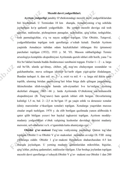 mezolit davri yodgorliklari — DOCX