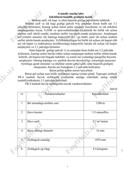 amaliy mashg’ulot - ishchilarni bandlik grafigini tuzish — DOCX