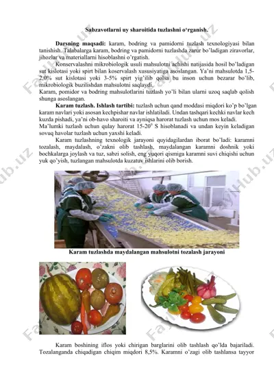 sabzavotlarni uy sharoitida tuzlashni o‘rganish — DOCX