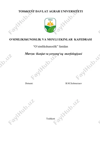 kunjut va yeryong‘oq -morfologiyasi — DOCX
