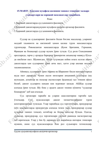 ҳуқуқни муҳофаза қилишни ташкил этишнинг халқаро стандартлари ва хорижий мамлакатлар тажрибаси — DOCX