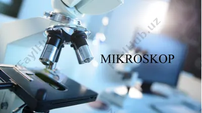 mikroskop — PPTX