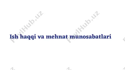 ish haqqi va mehnat munosabatlari — PPTX