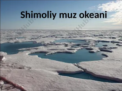 shimoliy muz okeani — PPTX