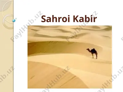 sahroi kabir 2 — PPTX