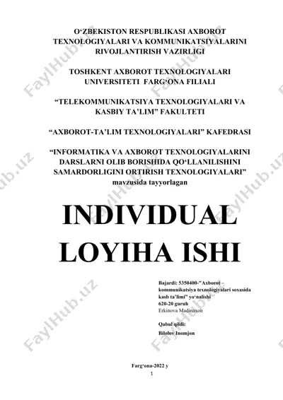 individual loyiha ishi — DOCX