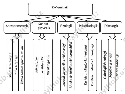 "ergonomika va biomexanika" — DOCX