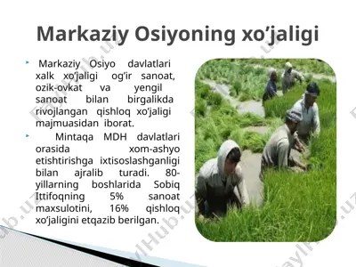 markaziy osiyoning xo’jaligi — PPTX