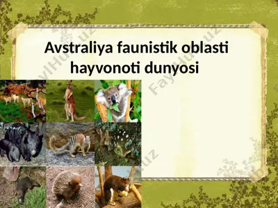avstraliya faunistik oblasti hayvonoti dunyosi — PPTX