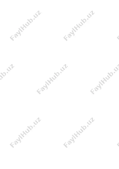 o‘quv amaliyoti — DOCX