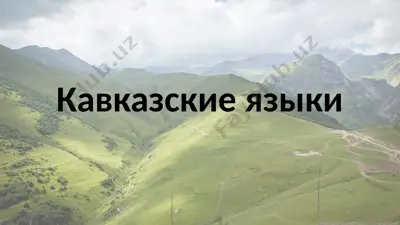 кавказские языки — PPTX