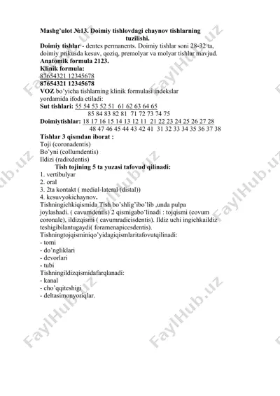 doimiy tishlovdagi chaynov tishlarning tuzilishi — DOCX