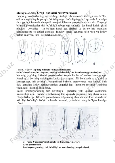 orqa tishlarni restavratsiyasi — DOCX