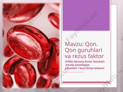 qon. qon guruhlari va rezus faktor — PPTX