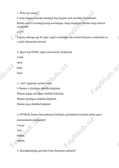web-sayt nima? — DOCX