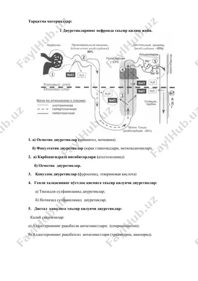 диуретикларнинг таъсир жойлари — DOCX