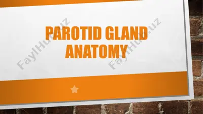 parotid gland anatomy — PPTX