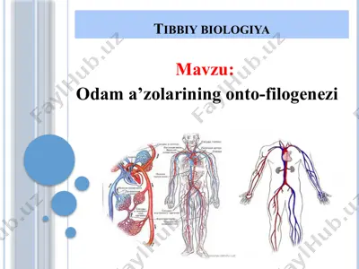 tibbiy biologiya — PPT
