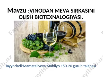 vinodan meva sirkasi — PPTX