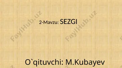 sezgi — PPT