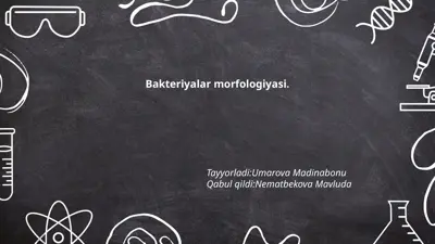 bakteriyalar morfologiyasi — PPTX