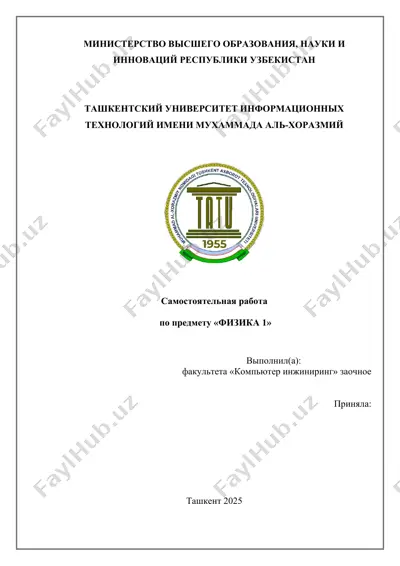 самостоятельная работа по предмету «физика 1» — DOCX