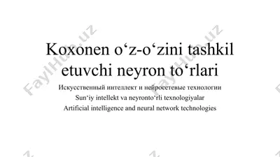 koxonen o‘z-o‘zini tashkil etuvchi neyron to‘rlari — PPT