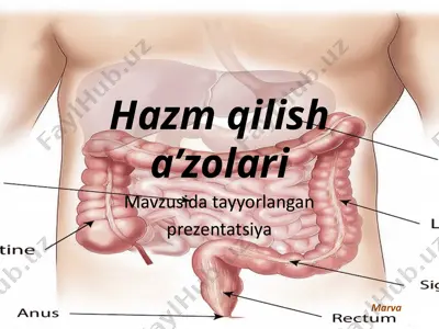 hazm qilishazolari — PPTX