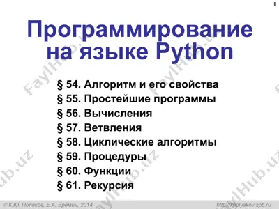 программирование на языке python — PPT