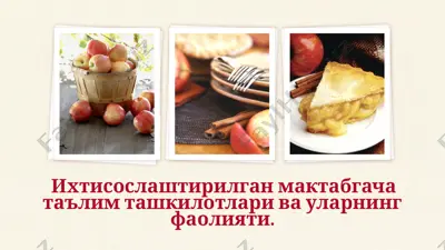 ixtisoslashgan maktabgacha ta'lim tashkilotlari va ularning faoliyati — PPTX