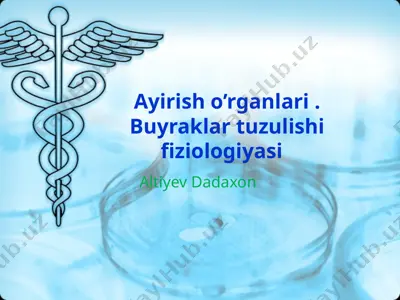 ayirisho’rganlari. buyraklar tuzulishi fiziologiyasi — PPTX