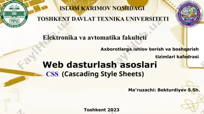 css (cascading style sheets) — PPTX