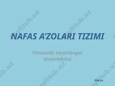 nafas a’zolari tizimi — PPTX